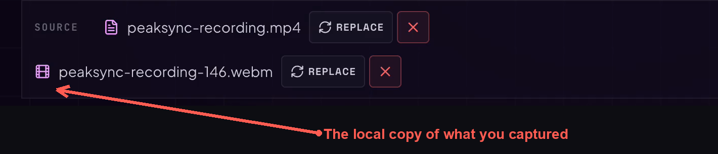 The Player source row: the script, and the local copy of the capture